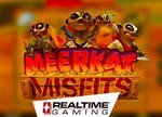 meerkat-misfits-par-rtg